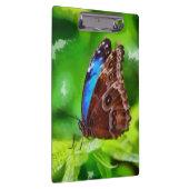 Schmetterlingsmalerei Klemmbrett (Rechts)