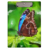 Schmetterlingsmalerei Klemmbrett (Vorderseite)