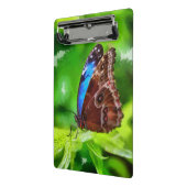 Schmetterlingsmalerei Mini Klemmbrett (Gewinkelt2)