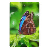 Schmetterlingsmalerei Mini Klemmbrett (Rückseite)