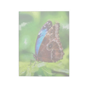 Schmetterlingsmalerei Notizblock