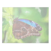 Schmetterlingsmalerei Notizblock (Vorderseite)