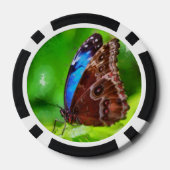 Schmetterlingsmalerei Pokerchips (Rückseite)
