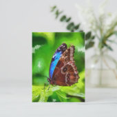 Schmetterlingsmalerei Postkarte (Stehend Vorderseite)