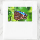 Schmetterlingsmalerei Rechteckiger Aufkleber (Tasche)