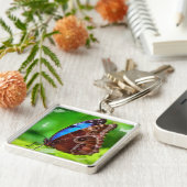 Schmetterlingsmalerei Schlüsselanhänger (Seite)