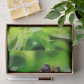 Schmetterlingsmalerei Seidenpapier (Geschenk)