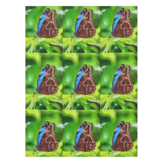 Schmetterlingsmalerei Tischdecke (Vorderseite)