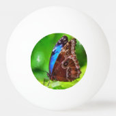 Schmetterlingsmalerei Tischtennisball (Vorderseite)