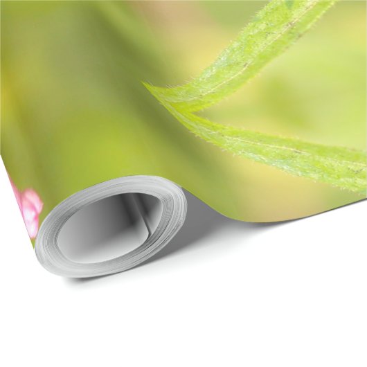 Schmetterlingsmotte Geschenkpapier (Rolleneckpunkt)