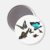 Schmetterlingsmulti Magnet (Vorderseite/Rückseite)