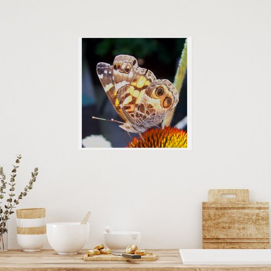 Schmetterlingsmuster Poster (Küche)