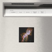 Schmetterlingsnebel-Magnet Magnet (In Situ (Geschirrspüler))
