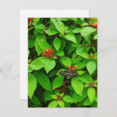 Schmetterlingsnotecard Mitteilungskarte (Vorne/Hinten)