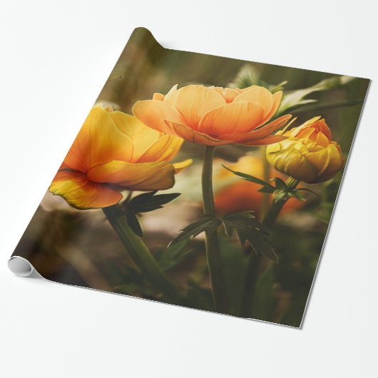 Schmetterlingspapier Art 32 Geschenkpapier (Ungerollt)