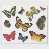 Schmetterlingspapier Geschenkpapier (Flach)