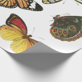 Schmetterlingspapier Geschenkpapier (Ecke)