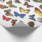 Schmetterlingspapier Geschenkpapier (Ecke)