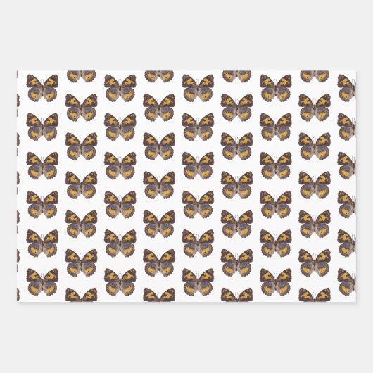 Schmetterlingspapier Geschenkpapier Set (Vorderseite 3)