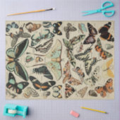 Schmetterlingspapier Seidenpapier (Basteln)