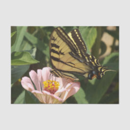 Schmetterlingspapier Seidenpapier