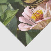 Schmetterlingspapier Seidenpapier (Ausschnitt)