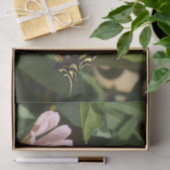 Schmetterlingspapier Seidenpapier (Geschenk)