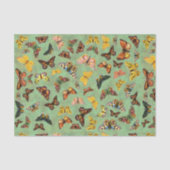 Schmetterlingspapier Seidenpapier (Vorderseite)