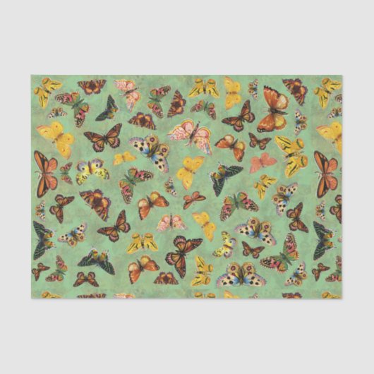 Schmetterlingspapier Seidenpapier (Vorderseite)