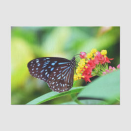 Schmetterlingspapier und Blume Seidenpapier