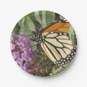 Schmetterlingspapierplatte Pappteller (Vorderseite)