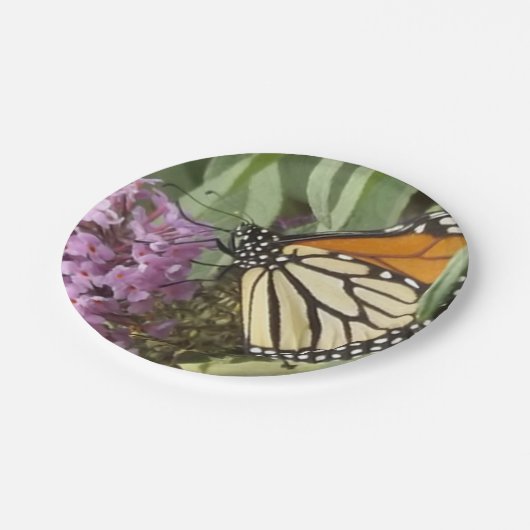 Schmetterlingspapierplatte Pappteller (Schrägansicht)