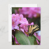Schmetterlingsparadies Postkarte (Vorne/Hinten)