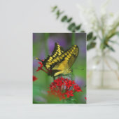 Schmetterlingspostkarte Postkarte (Stehend Vorderseite)