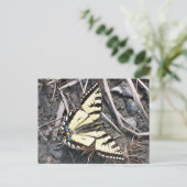 Schmetterlingspostkarte Postkarte (Stehend Vorderseite)