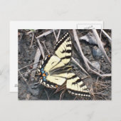 Schmetterlingspostkarte Postkarte (Vorne/Hinten)