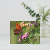 Schmetterlingspostkarte Postkarte (Stehend Vorderseite)