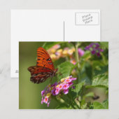 Schmetterlingspostkarte Postkarte (Vorne/Hinten)