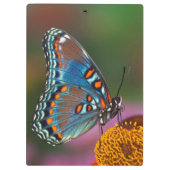 Schmetterlingsprofil auf einer Blume Klemmbrett (Rückseite)
