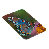 Schmetterlingsprofil auf einer Blume Magnet (Rechte Seite)