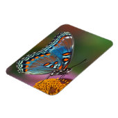 Schmetterlingsprofil auf einer Blume Magnet (Linke Seite)
