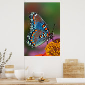 Schmetterlingsprofil auf einer Blume Poster (Küche)