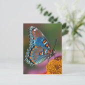 Schmetterlingsprofil auf einer Blume Postkarte (Stehend Vorderseite)