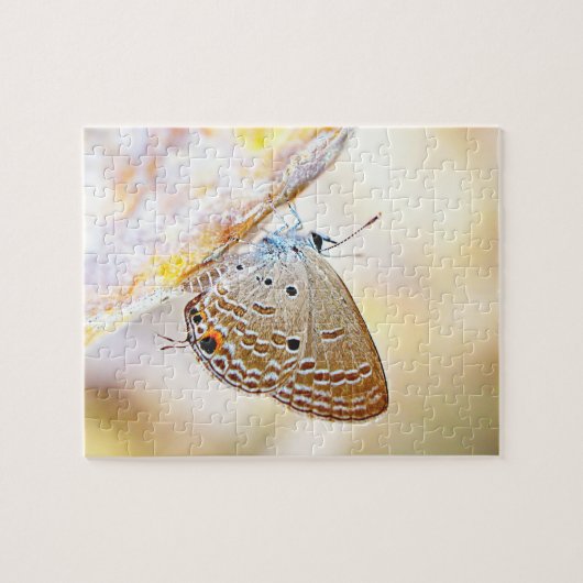 Schmetterlingspuzzlespiel für einen Single oder Puzzle (Horizontal)