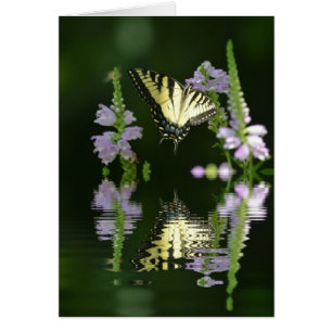 Schmetterlingsreflektionen