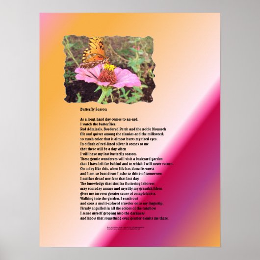 Schmetterlingssaison - Wüste Poster (Vorne)