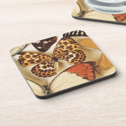 Schmetterlingssammlung Getränkeuntersetzer (Linke Seite)