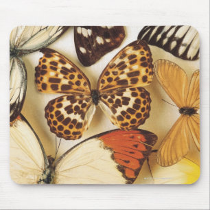 Schmetterlingssammlung Mousepad