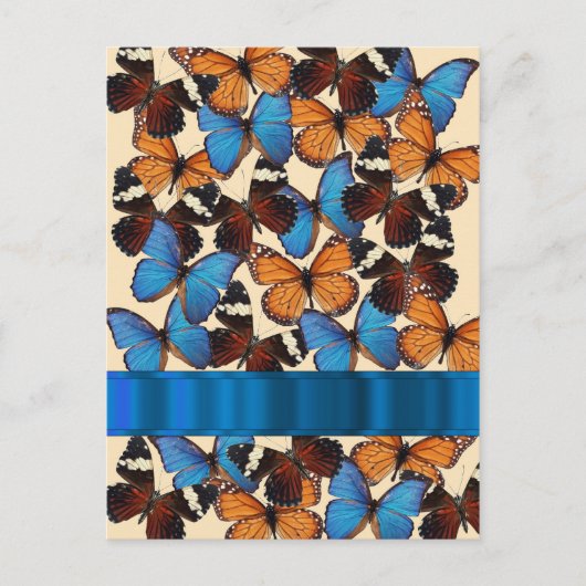 Schmetterlingssammlung Postkarte (Vorderseite)