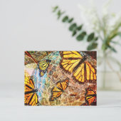 Schmetterlingssammlung Postkarte (Stehend Vorderseite)